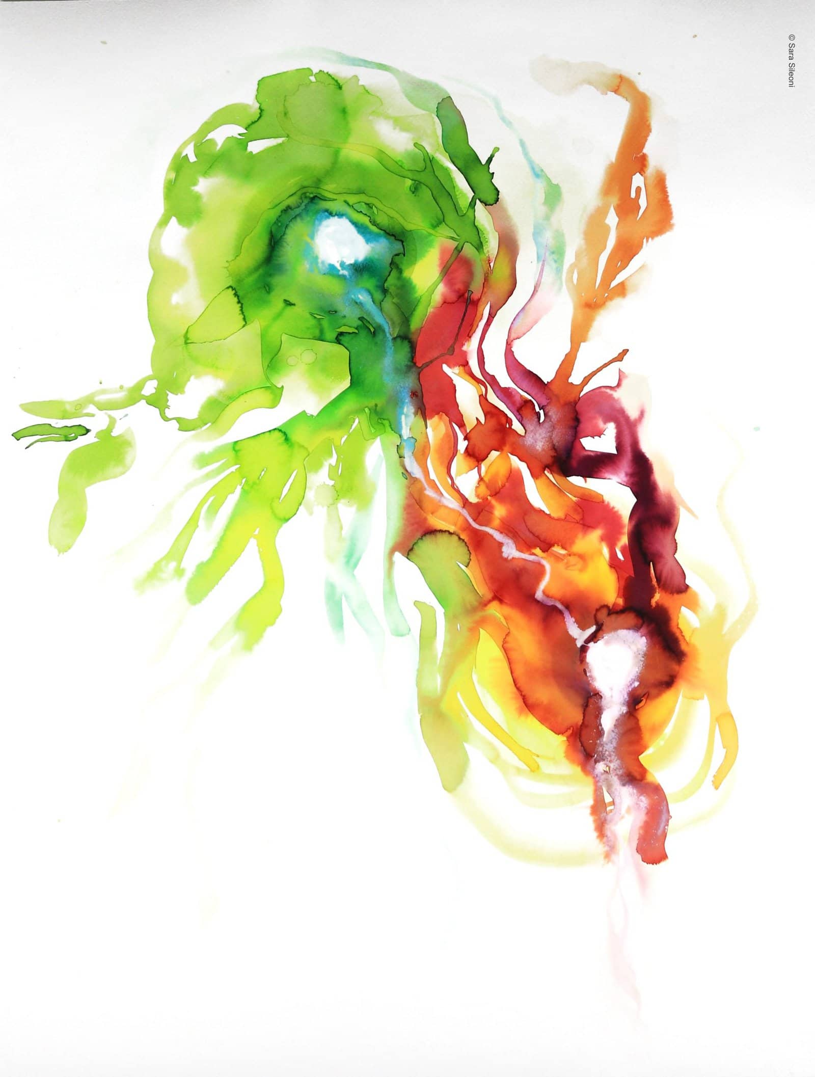 Fusioni (ecoline, 56 x 76 cm)_©Sara Sileoni
